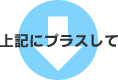 上記にプラスして